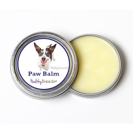Healthy Breeds 2 oz Rat Terrier Dog Paw Balm 840235194290
